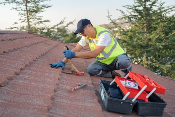 Best Best Roofing Contractors  in Wainaku, HI