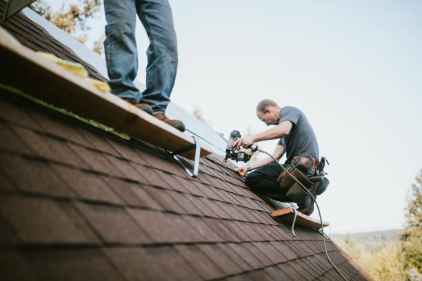 Best Roof Gutter Cleaning  in Wainaku, HI